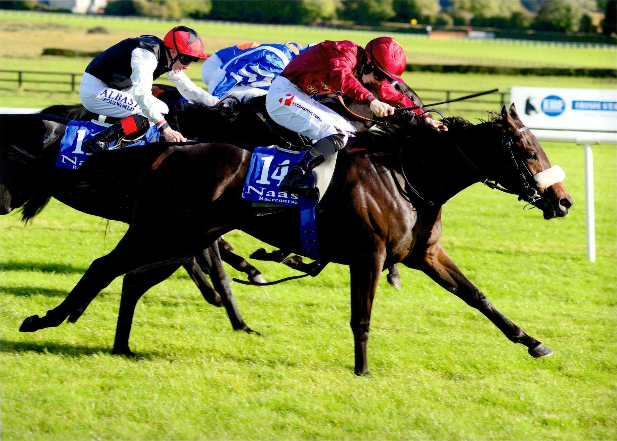 WAYSIDE FLOWER wins in impressive fashion at Naas 16th October 2016